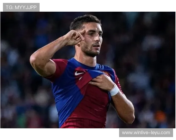 投资与足球的深度共鸣：从费兰·托雷斯到科技股，如何透过现象看本质？