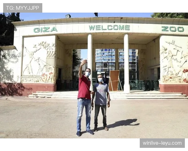 马洛卡经济稳健复苏，旅游业迎来新机遇