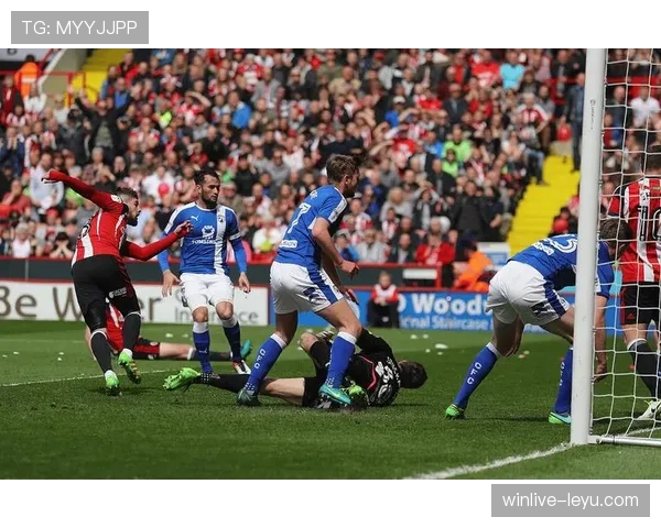 英超太妃糖军团