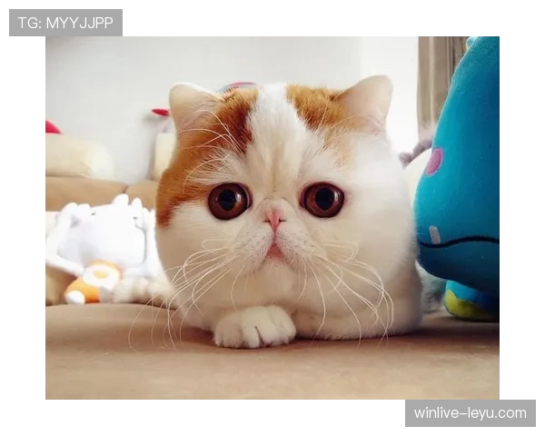 汪周雨训练场上的“钢铁直男”，私下却是甜到让人怀疑人生的软萌宠蛋？