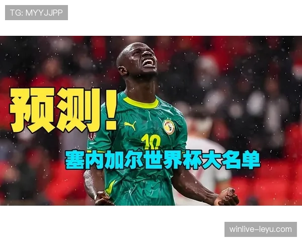 塞内加尔2026世界杯阵容预测 马内领衔的非洲冠军能否再创黑马奇迹